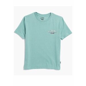 NWT Billabong Boys Kids' Bubble Arch Short Sleeve T-Shirt Size YL